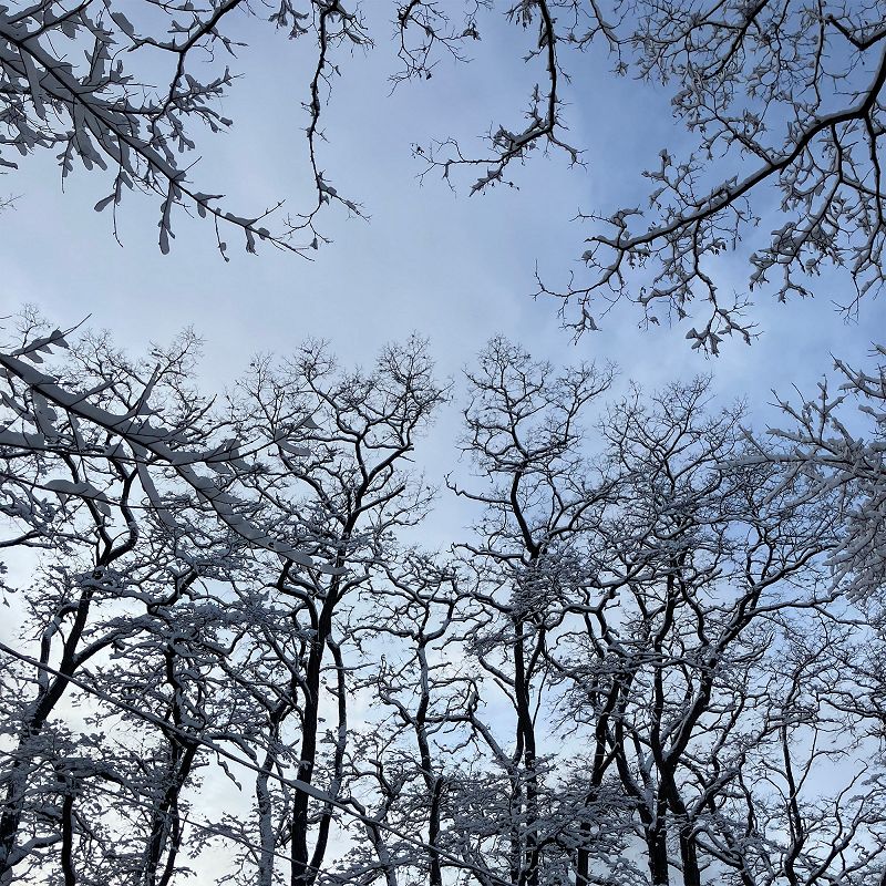 A Month of Sundays w/ Bill Spencer