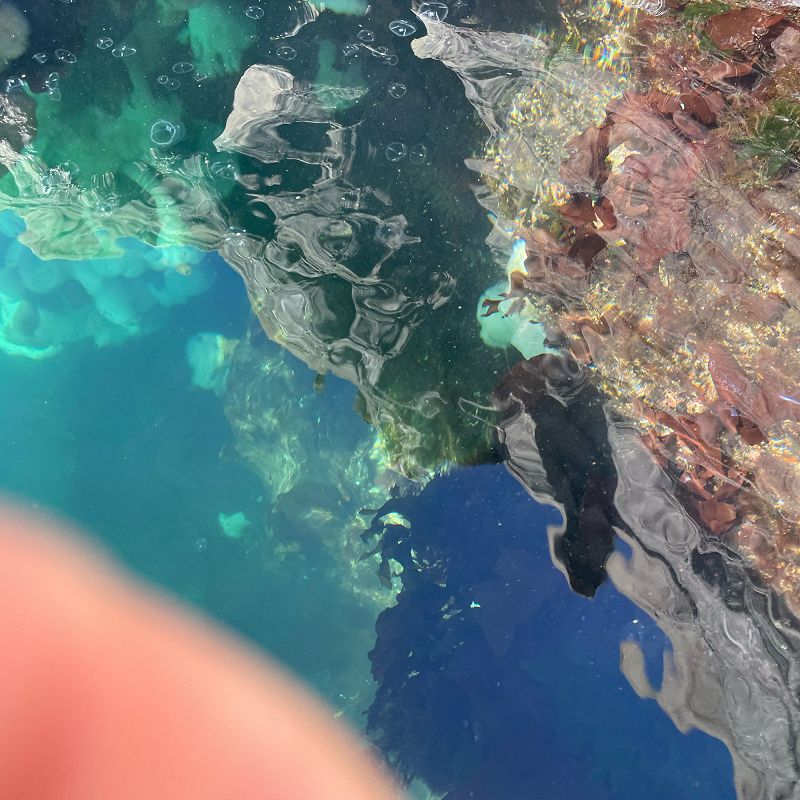 PENDER STREET STEPPERS w/ Jeremy Castillo