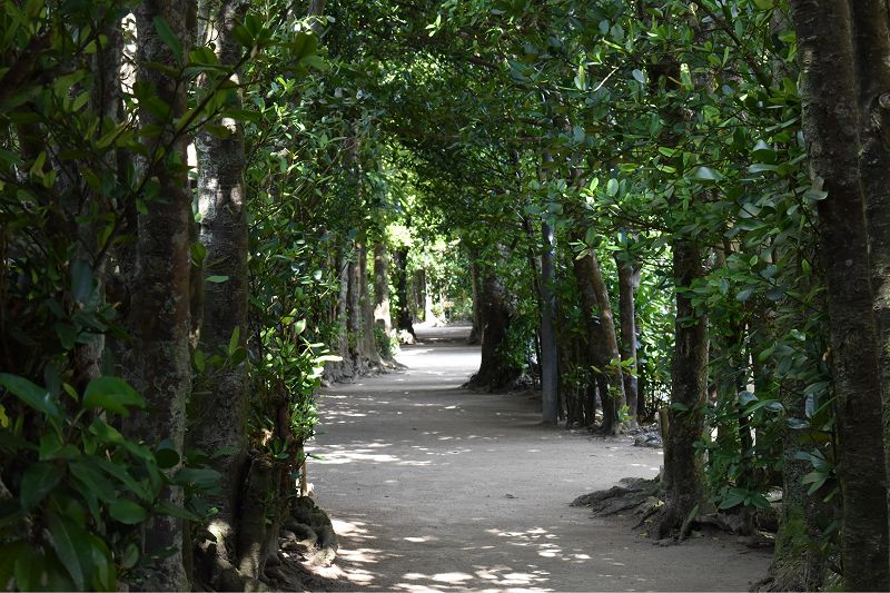 From Sun City w/ Austin Morello