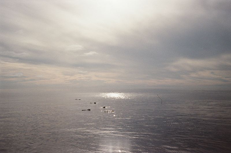 SPLASHY PLEASURE W/ DERREK ORDER