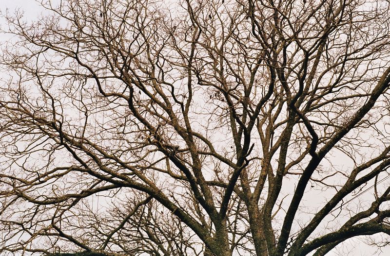 Phil's Jazz Dis-Junction