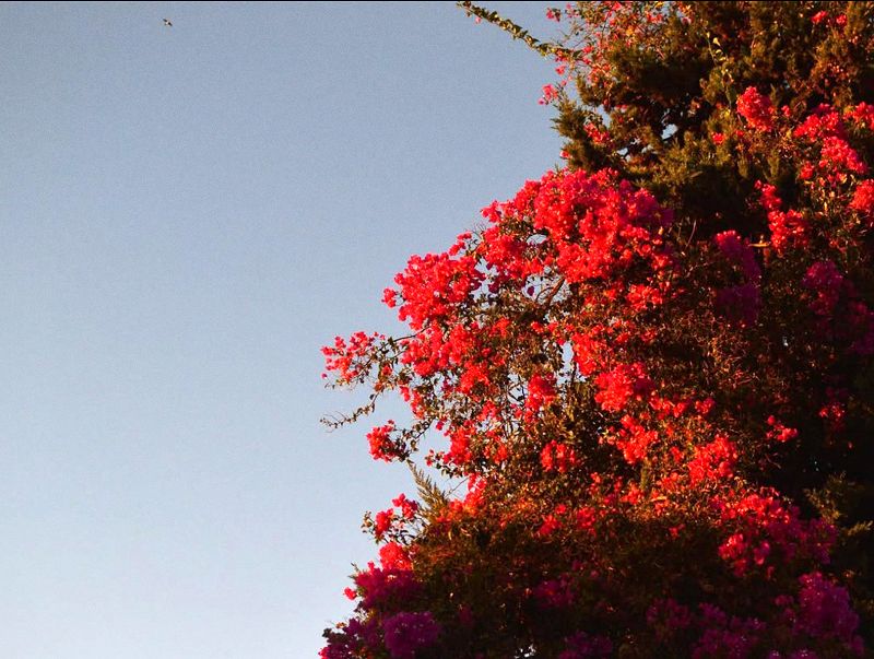 SUN SHINING, BUTT SHAKING w/ CATHY GROGAN