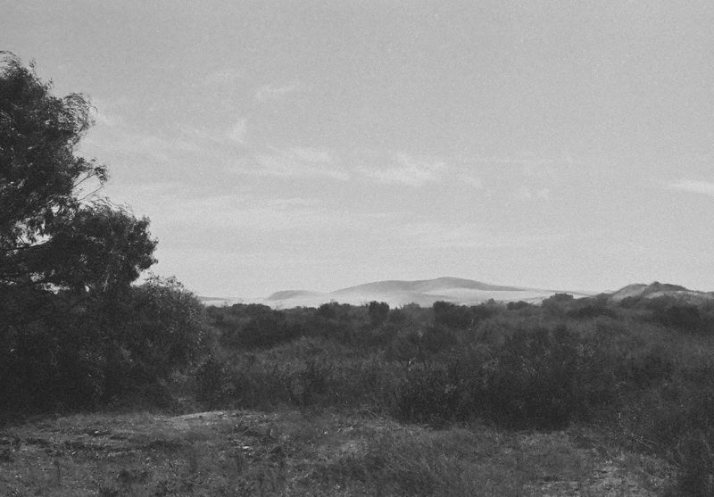 Up North Drive: Lancelin