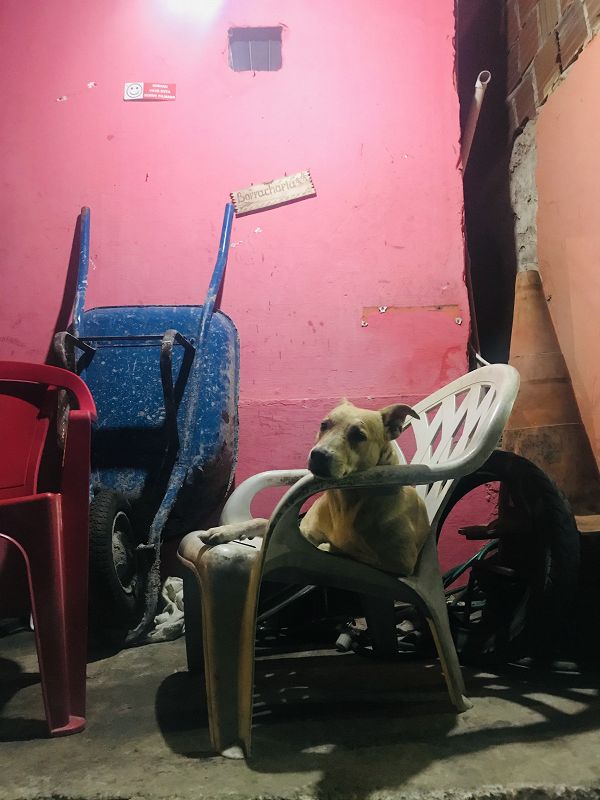 Club Coco w/ Coco María: Live from Mexico City