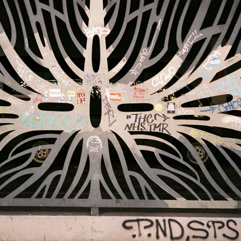 S K Y A P N E A  w/ Ben Mccready