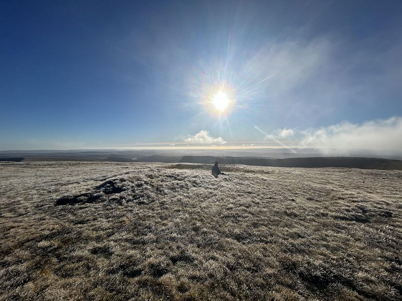 The Early Bird Show w/ THEA HD