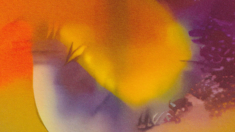 AIR CHRYSALIS W/ SCOTT KOOKEN