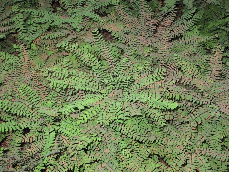 A Month of Sundays w/ Bill Spencer