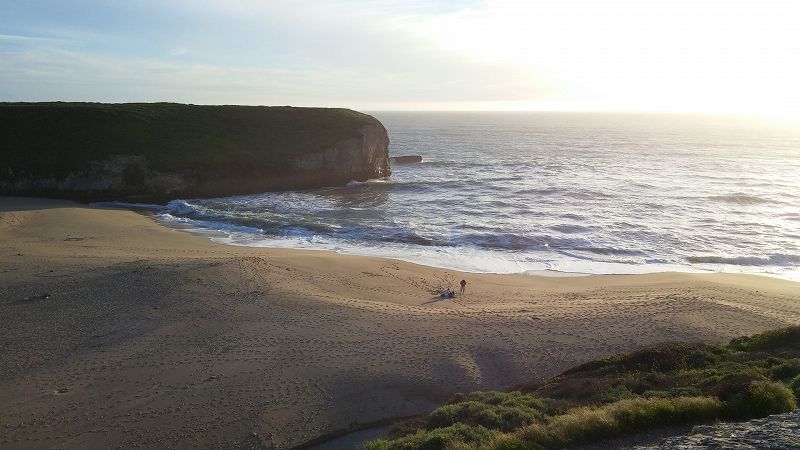 One for the 1 w/ BRINE