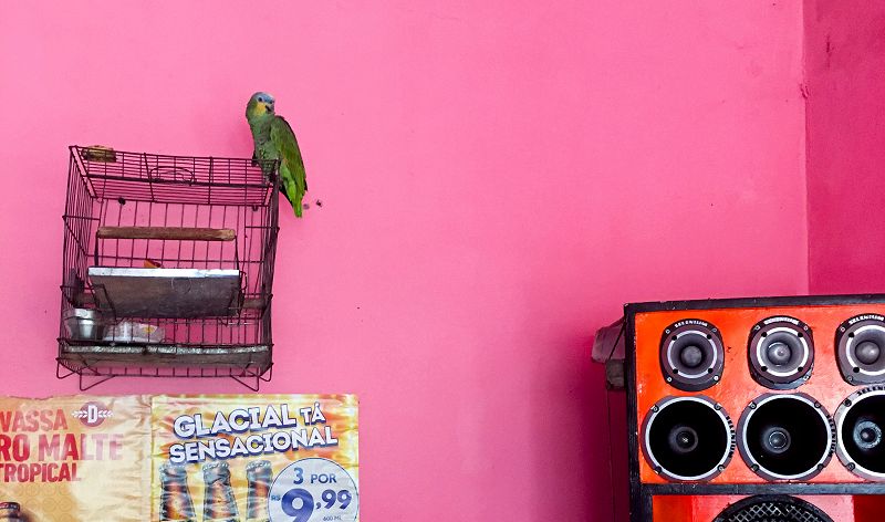 Rio Doce w/ Karina Passos 