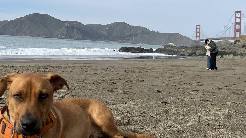 N JUDAH w/ bagel technician