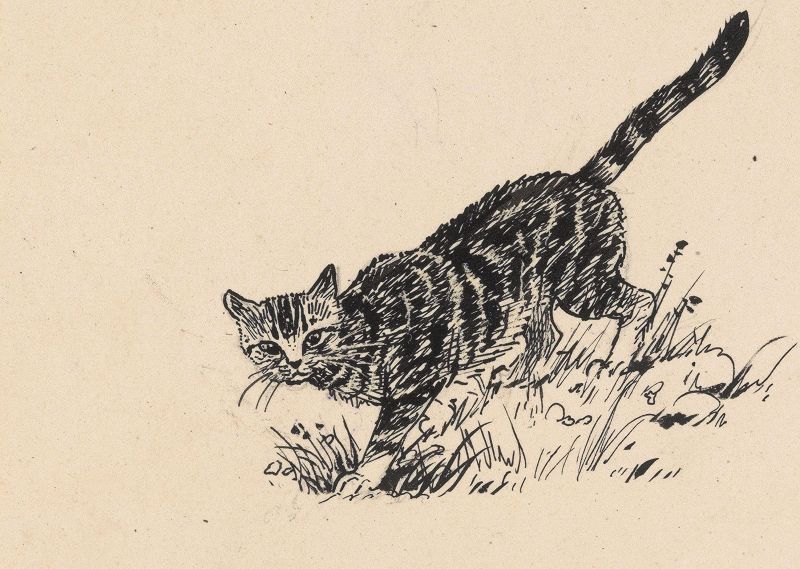 The Early Bird Show w/ Jack Rollo & DJ Sundae