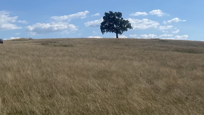 quiet transformations w/ hodreaz