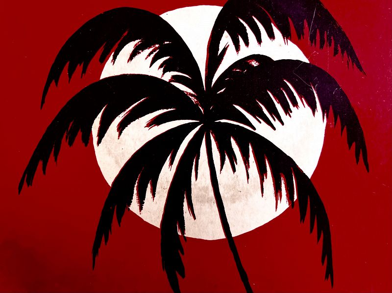 Insolar w/ Cami Layé Okún