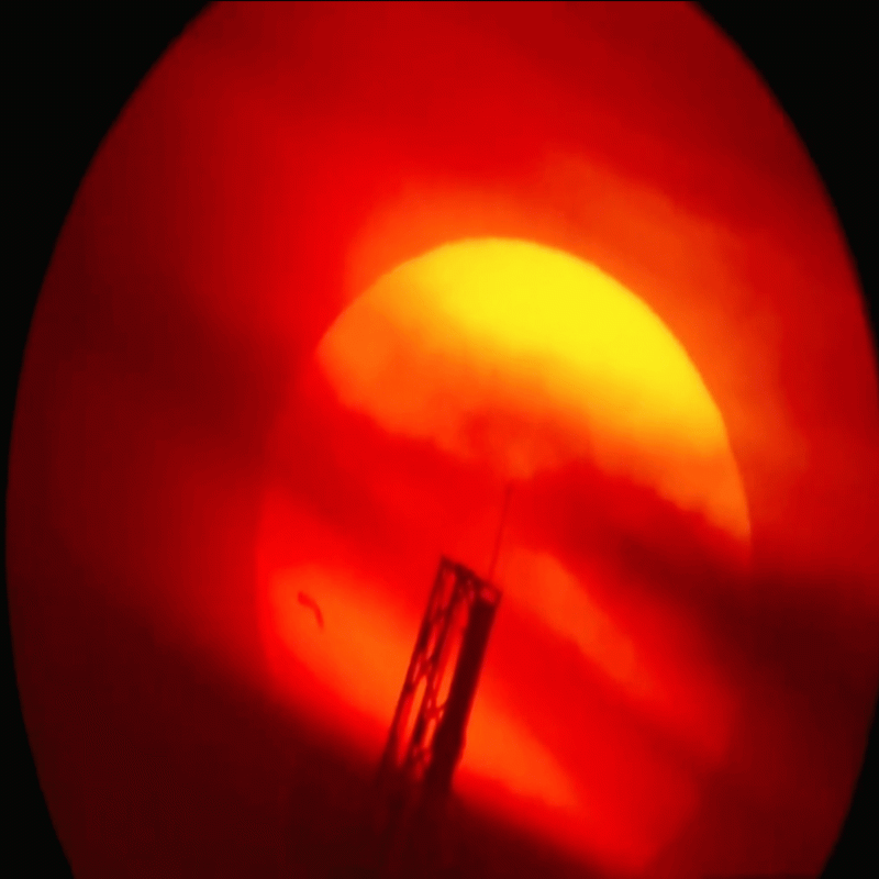 Pender Street Steppers w/ Hotspring