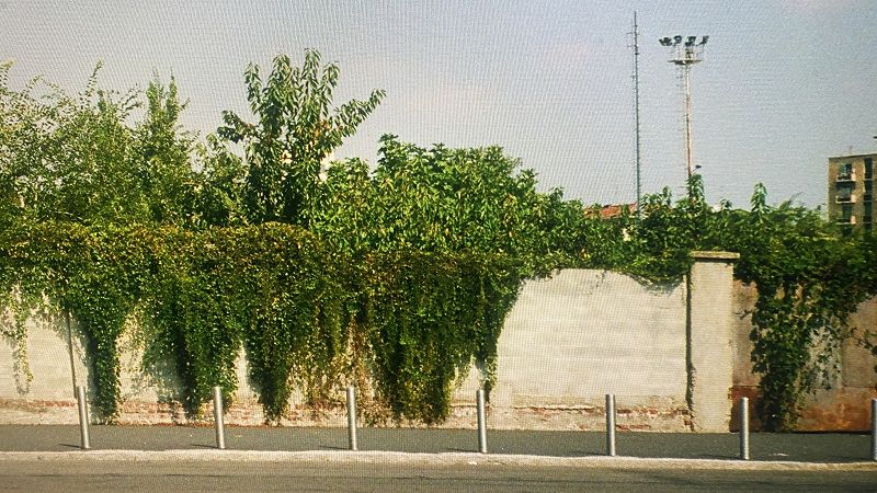 Take care w/ Marc Hofweber