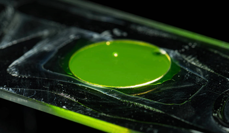 Circle Packing w/ Occo