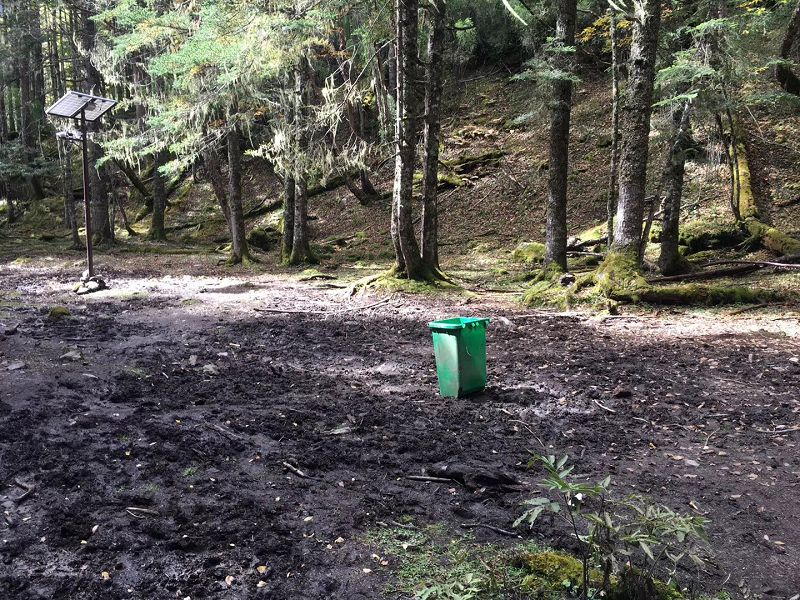 Live From Shanghai - China Social Club