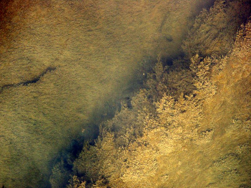 SACRED POOLS W/ Funn Bobby