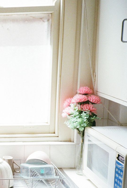 Carla Dal Forno