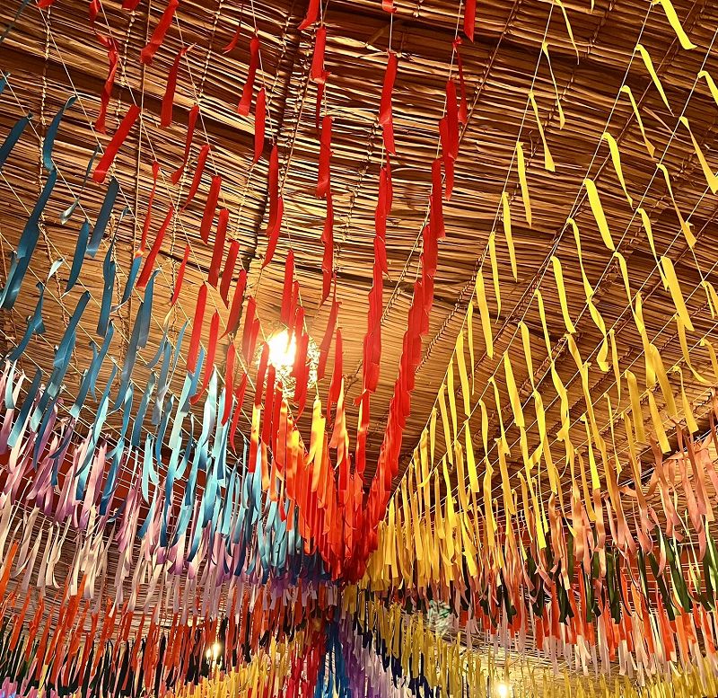 TROPICALIST MUSHROOM W/ RAQUEL WORROW