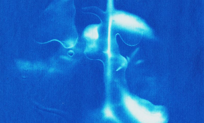 Ambient Abracadabra w/ Sofie Birch