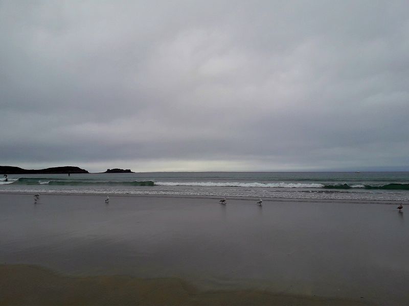 Drivin' On Coke Mix w/ bug powder