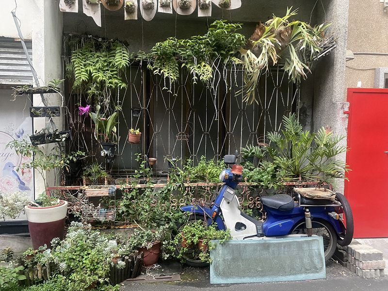 Phambinho - tôi đứng ở biên giới và phát âm nhạc