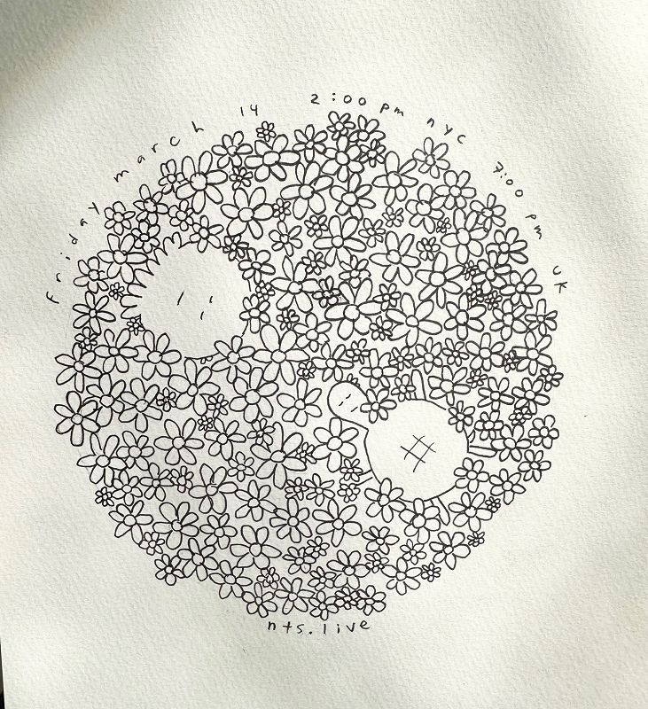 James McNew (YO LA TENGO)