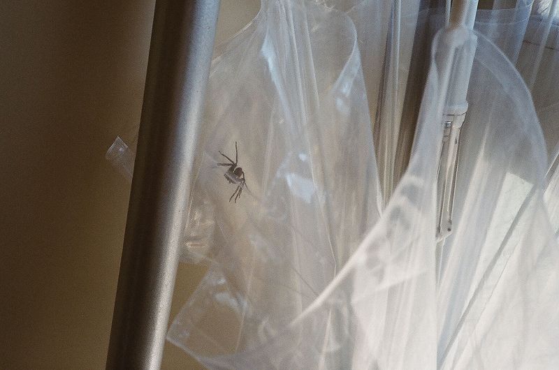 Natalia Panzer & Maqui