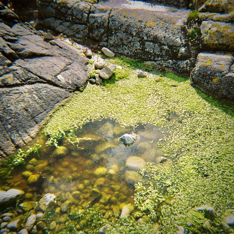 The Early Bird Show w/ Maria Somerville & Olan Monk