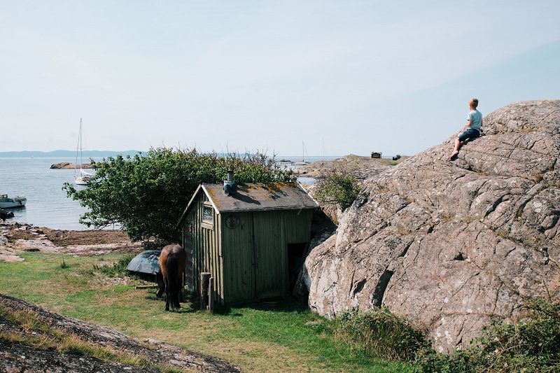 Fredhäll Field Trip w/ Vilhelm