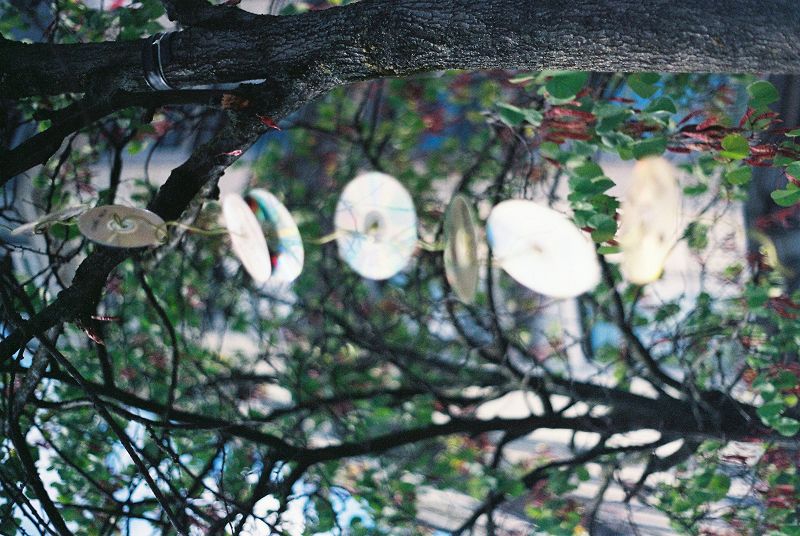 PHAMBINHO - THE ALGORITHMIC ĐỔI MỚI IN V-POP  