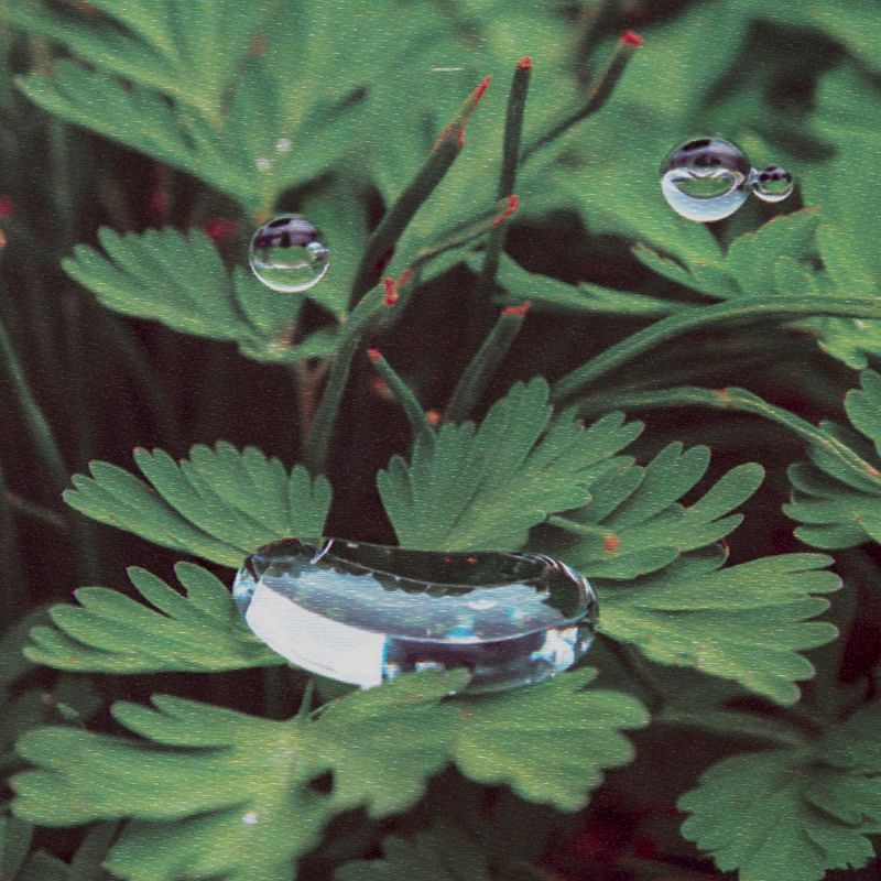 Pender Street Steppers w/ Cousin