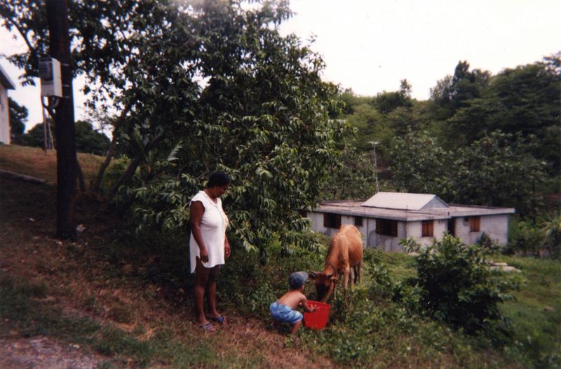 Rio Doce w/ Archives La Case