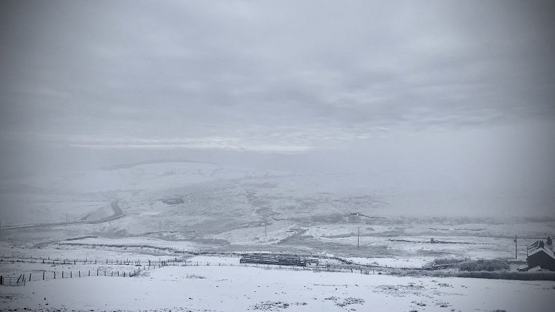 Heartbreaks & Heartaches