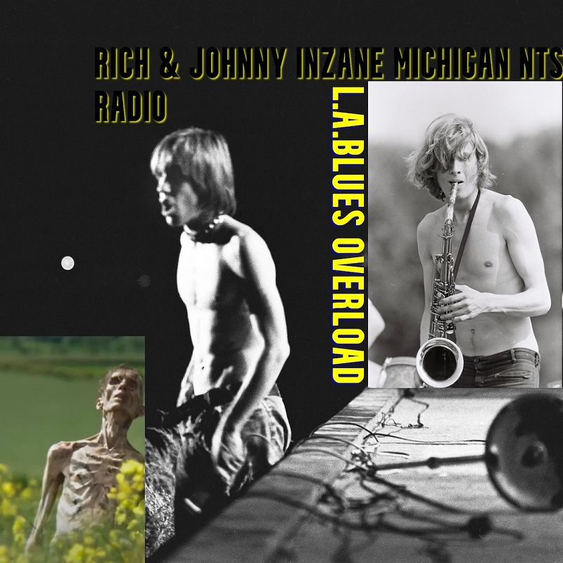 Rich & Johnny's Inzane Michigan: L.A. Blues