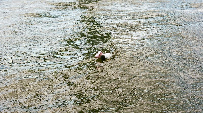 The Early Bird Show w/ PAM