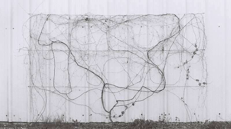 The Early Bird Show w/ PAM