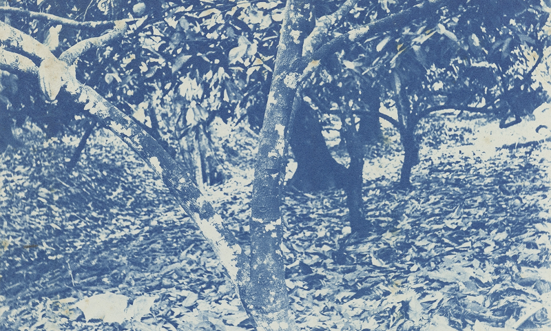 Jack and Elaine: Dub Mix