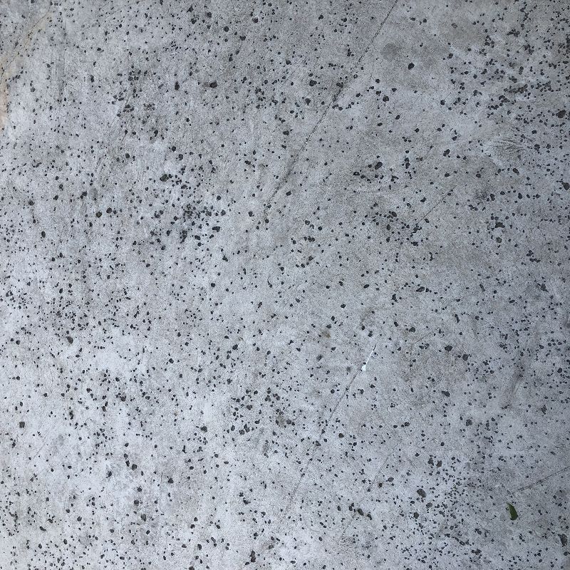 Inner Lifeguard w/ Jesse Kurvink