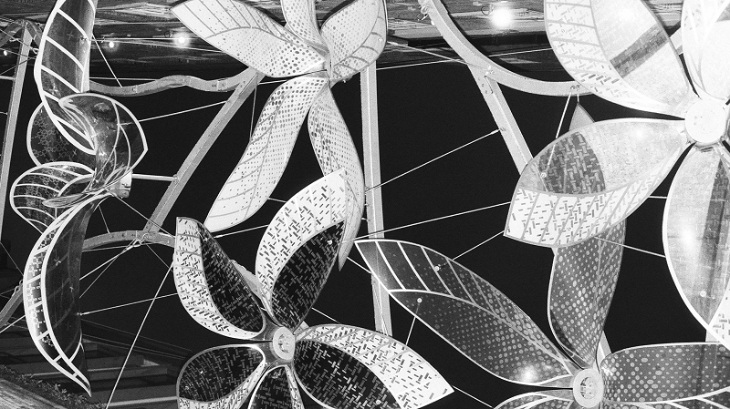 The Early Bird Show w/ PAM