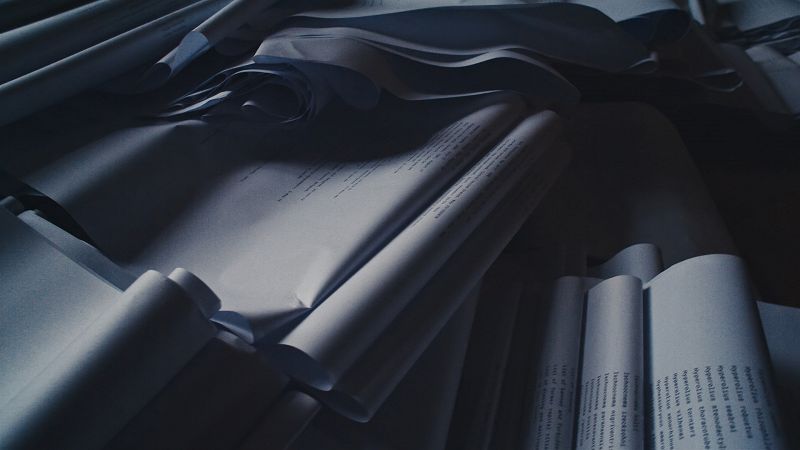 Post Hoc w/ Dane Mitchell