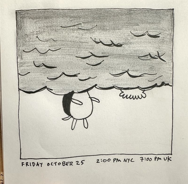 James McNew (YO LA TENGO)