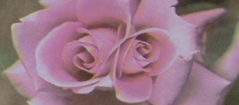 Transcending yourself W/ Angelo & Gracia