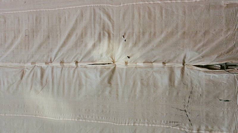 The Early Bird Show w/ PAM