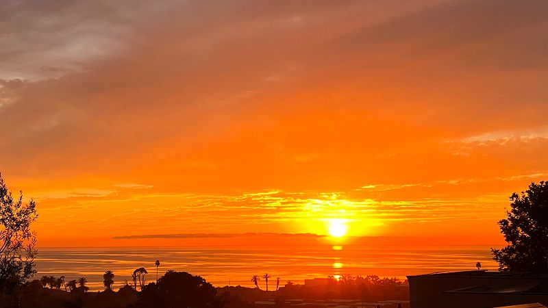 SUNSHINE STROLL W/ ALEX