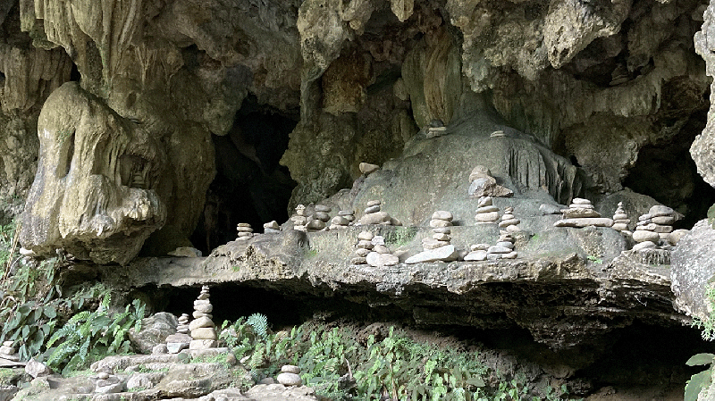 Austral w/ AYLU - Colombia Special