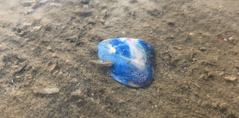 atte pc - Oceans of Solace