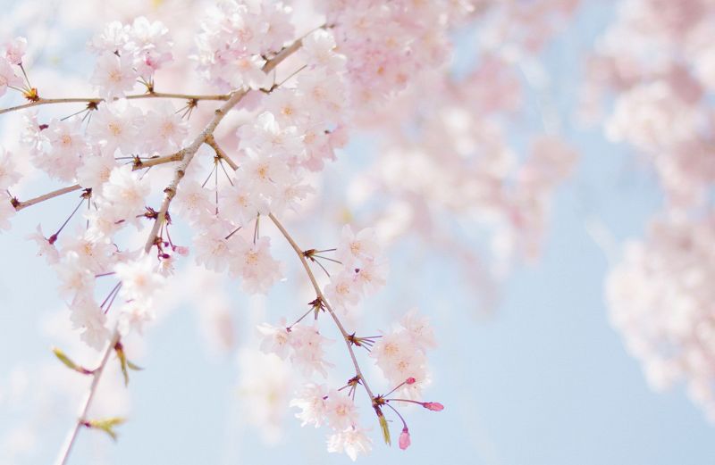 NearlySomething: Summer Breeze